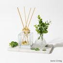 Kit Aromatizador de Ambiente 100ml | Vidro + Bandeja + Plantinha | Jurno Living