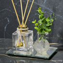 Kit Aromatizador de Ambiente 100ml | Vidro + Bandeja + Plantinha | Jurno Living